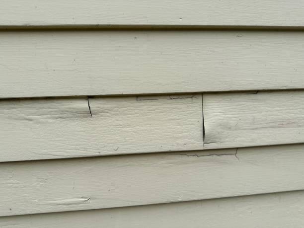 Best Historical Building Siding Restoration  in East Brewton, AL